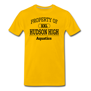 Hudson High, Aquatics - sun yellow